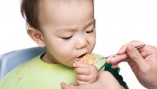 Learn about the adoption transition diet for your child.